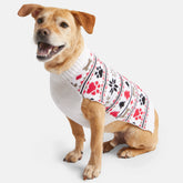 Paws Fair Isle