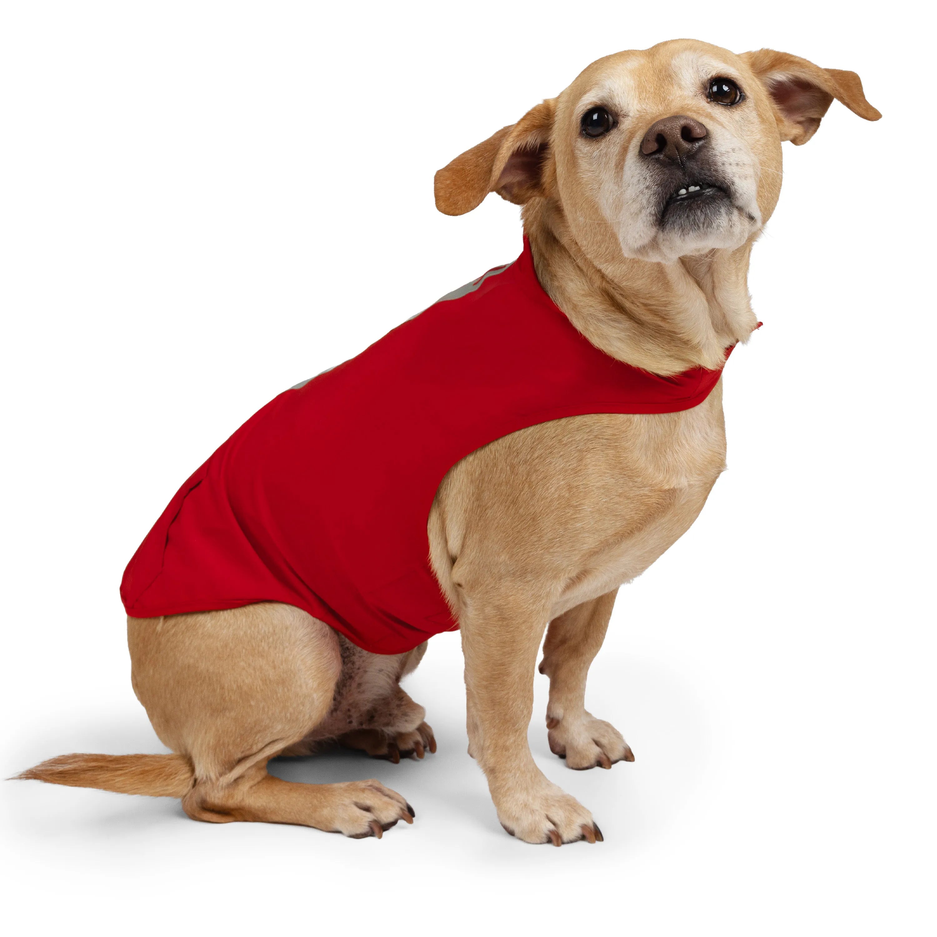 Poppy Red