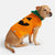 Orange Pumpkin
