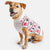 Paws Fair Isle